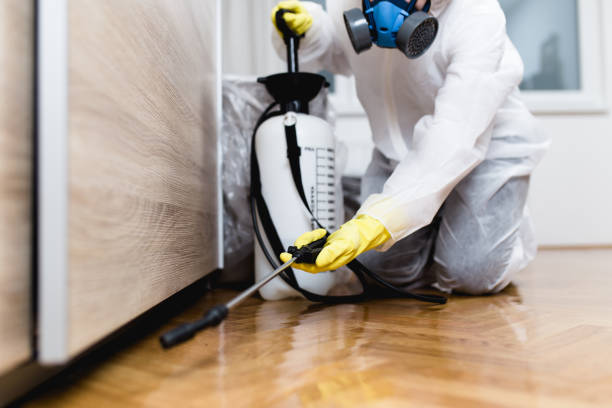 Best Pest Removal Services  in South Cleveland, TN