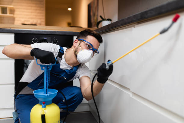 Best Wasp Removal Services  in South Cleveland, TN