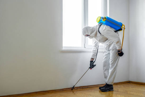 Flea Control Services in South Cleveland, TN