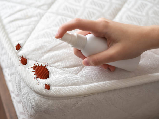Best Pest Control Near Me  in South Cleveland, TN